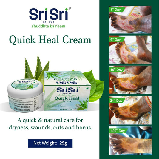 Sri Sri Tattva Quick Heal Cream, 25 g