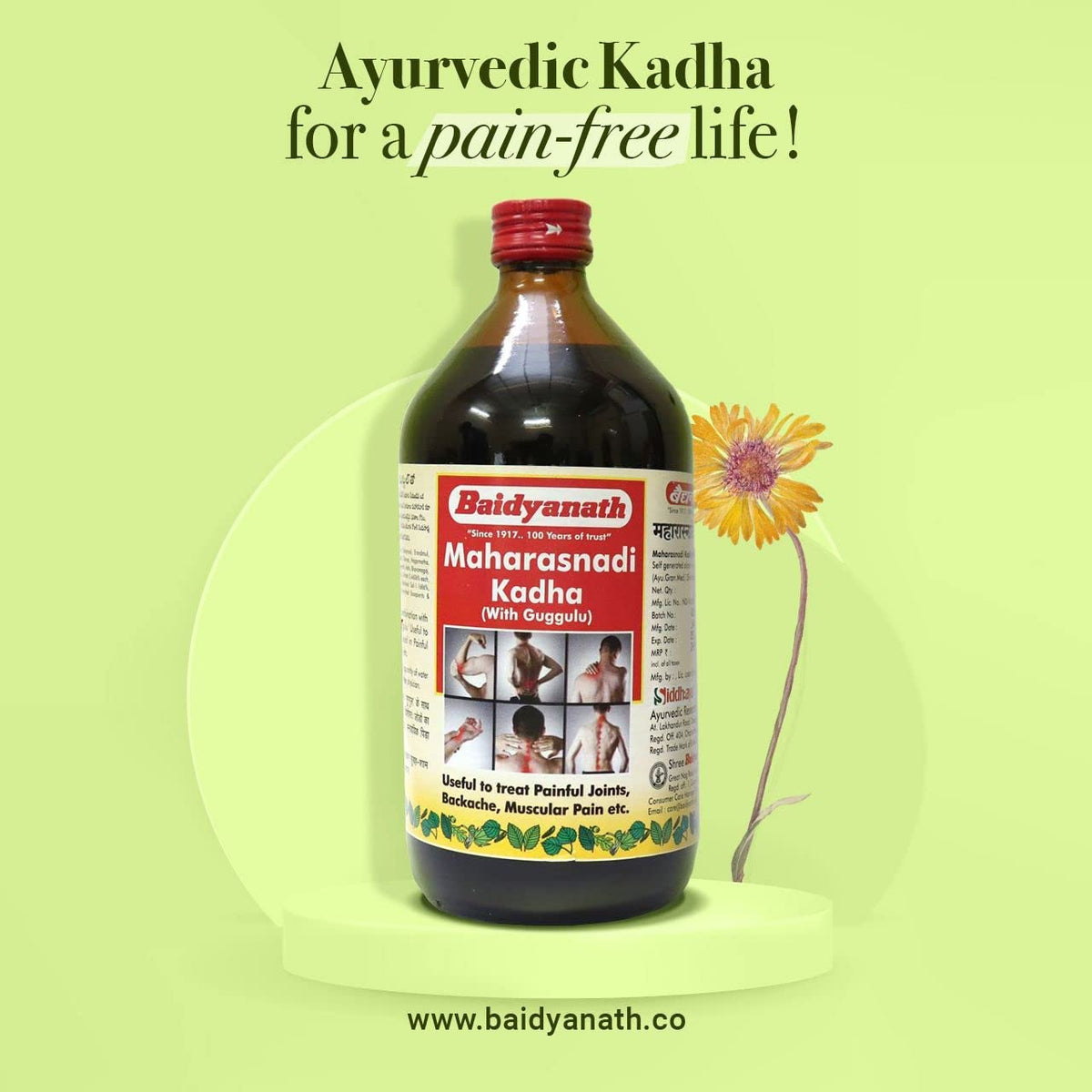 Baidyanath Asli Ayurved Maharasnadi Kadha With Guggulu Liquid-450Ml