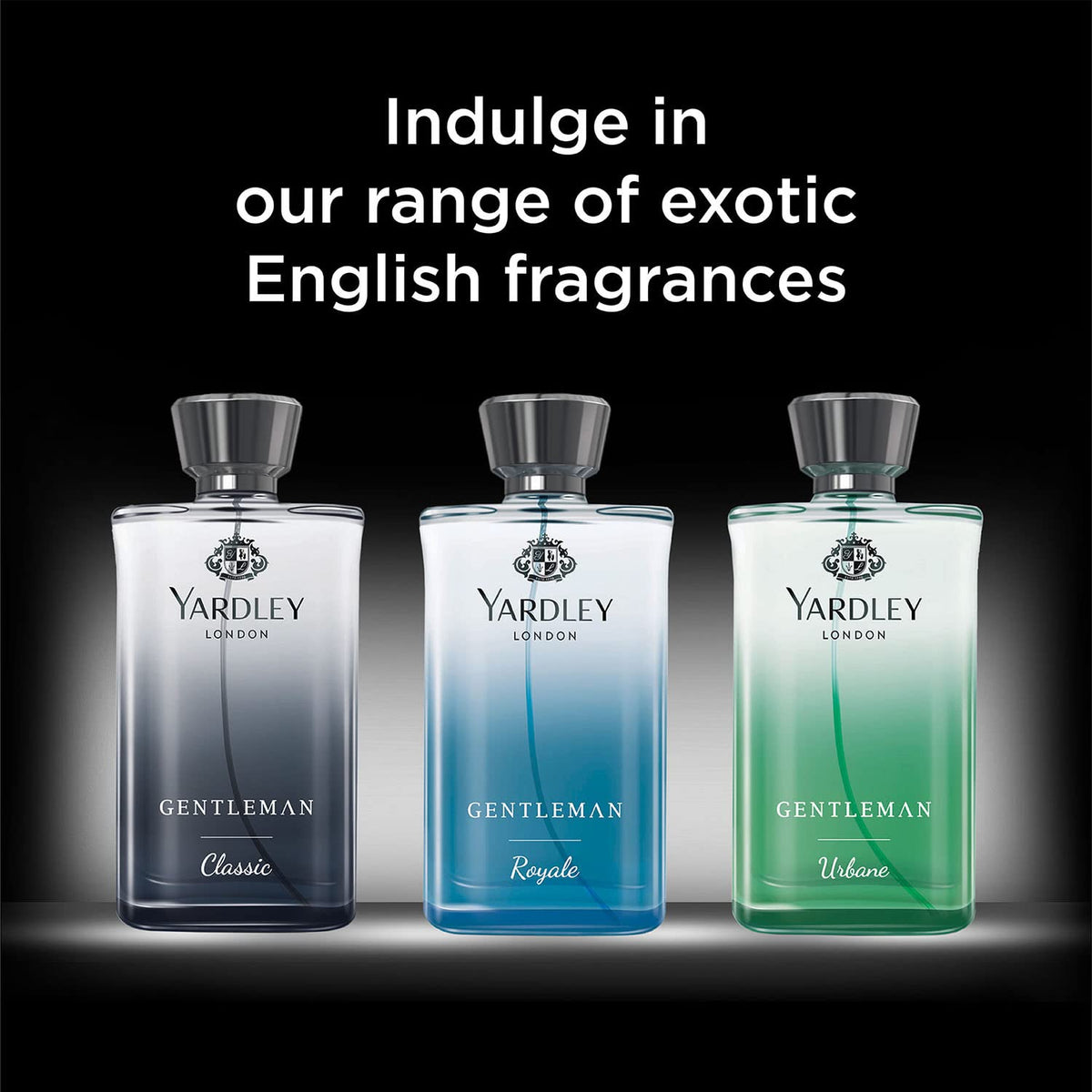Yardley London Gentleman Royale Perfume for Men, 100 ml