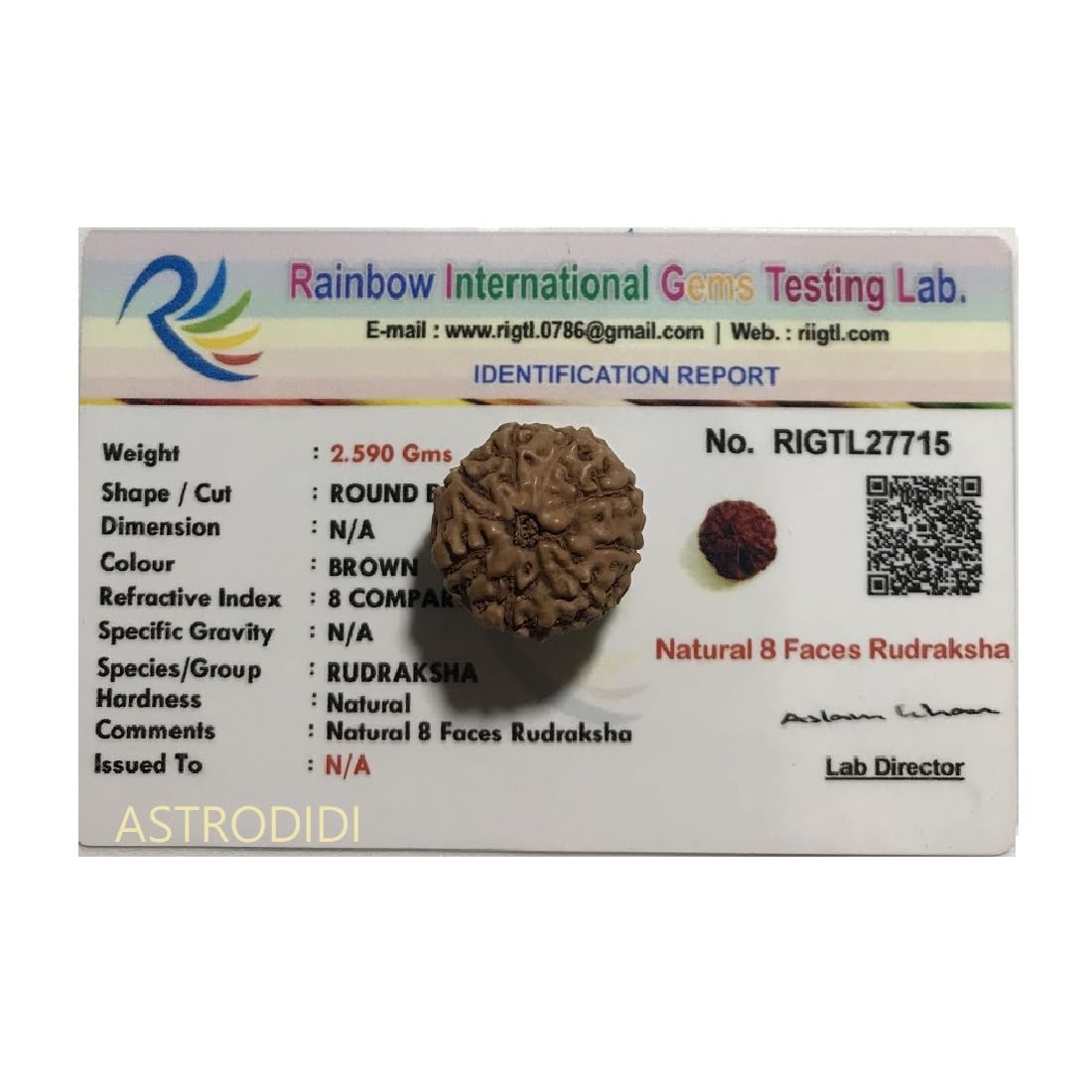 ASTRODIDI 8 Mukhi Rudraksha Eight Face (Small Size) Java Indonesian Bead with Lab Report