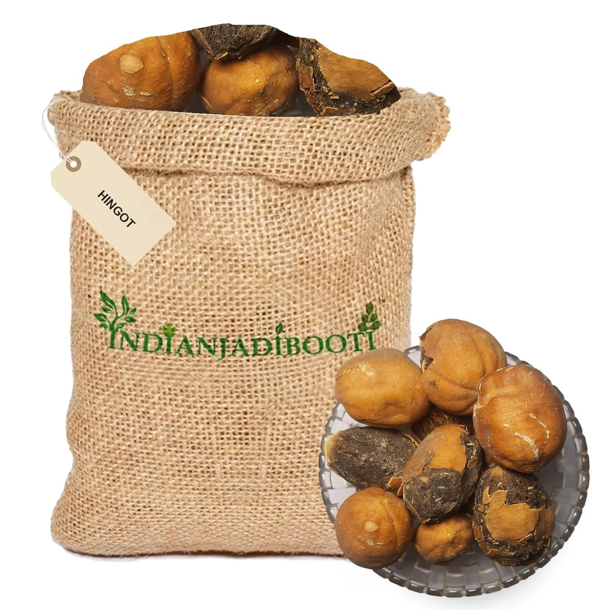 indianjadibooti Hingot Fruit Dried| Balanites Roxburghii - Balanites Aegyptiaca - Desert Date - Simple Throned Torch Tree – Ingudi (50 Grams)
