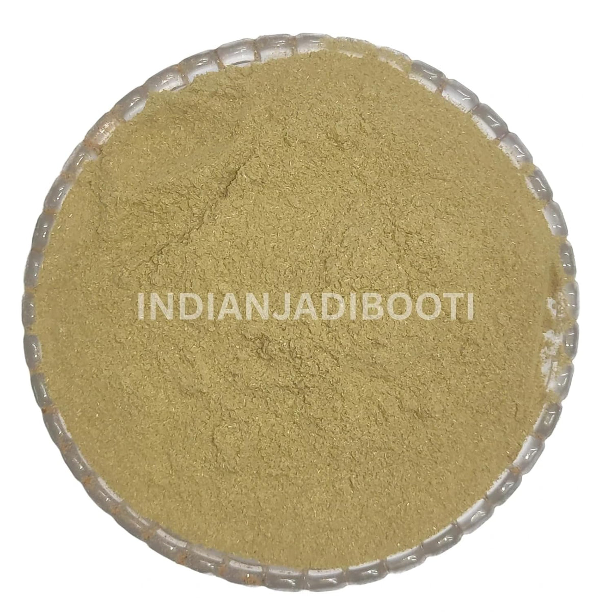IndianJadiBooti Pure Oregano Leaves Powder (Origanum Vulgare) | Premium Aromatic Seasoning for Gourmet Culinary Excellence, Pizzas & Authentic Mediterranean Flavors (100 Grams)