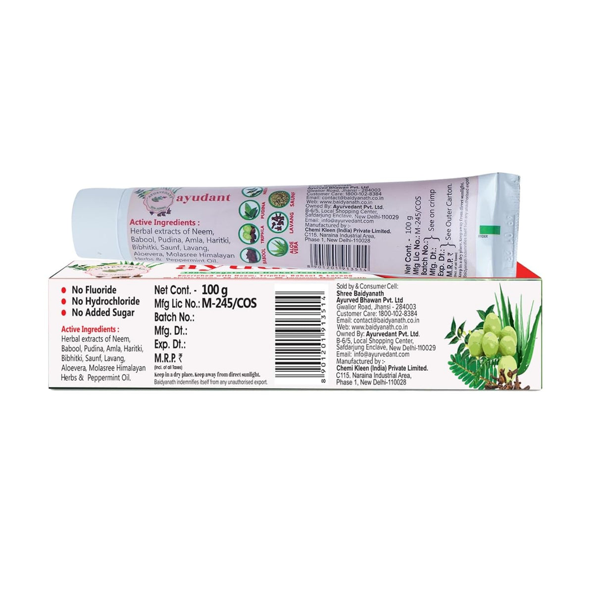 Ayurvedant Ayudant Oral Care Toothpaste 100G|From The House Of Baidyanath