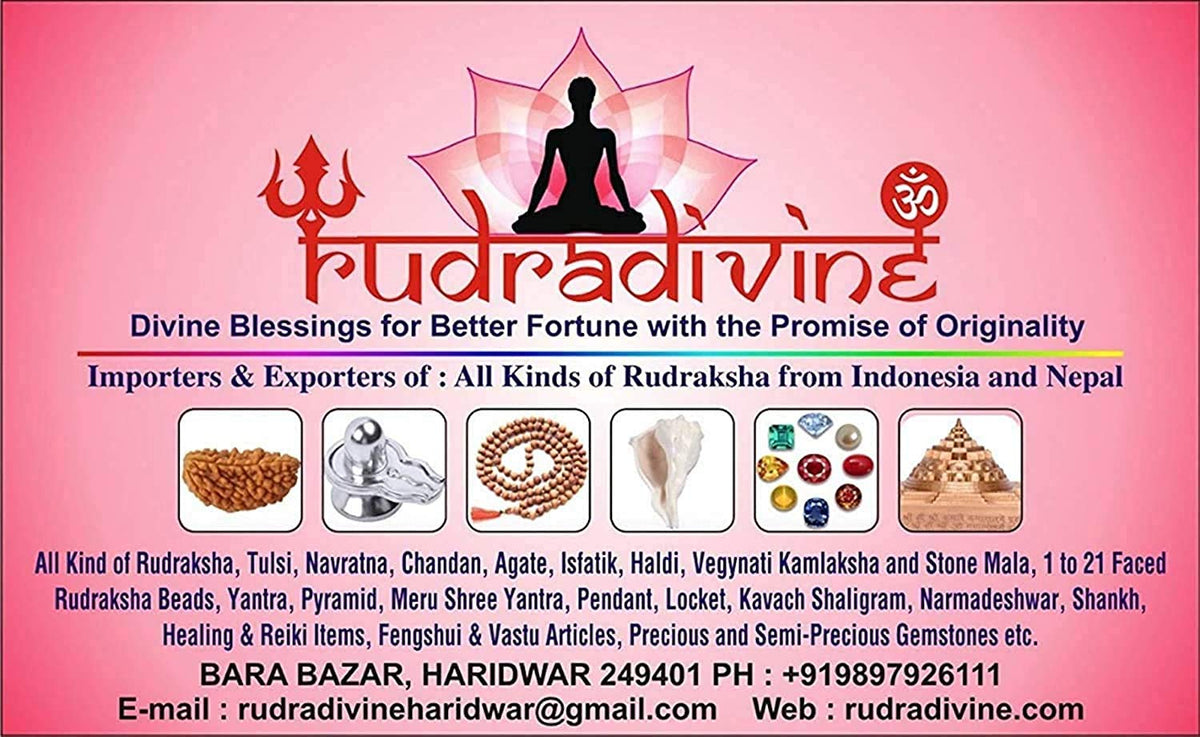 RUDRADIVINE Rudraksh Natural Stones/Yoga Good Luck Buddha Beads Bracelet. Valentine Gifts for Him & Her