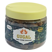Patanjali Aastha Gugal Cone Dhoop