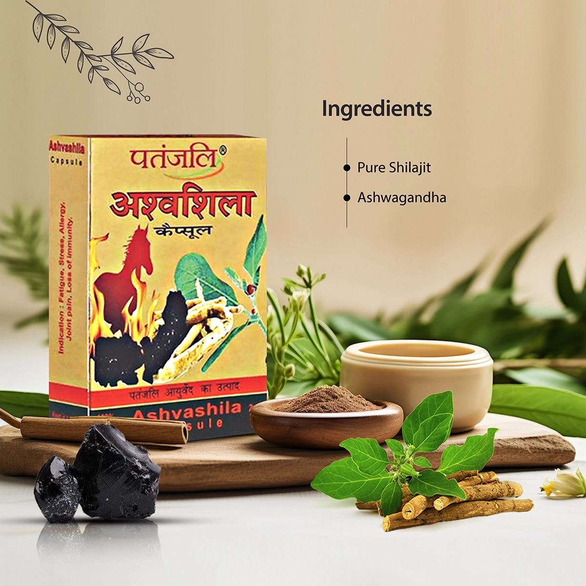 Patanjali Ashvashila