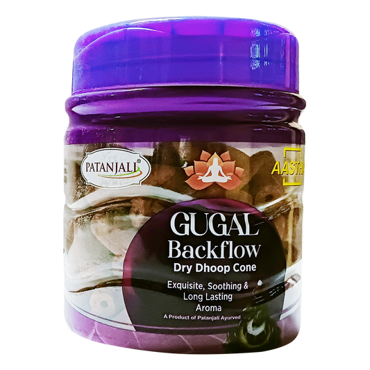 Patanjali Aastha Backflow Dhoop Cone Gugal