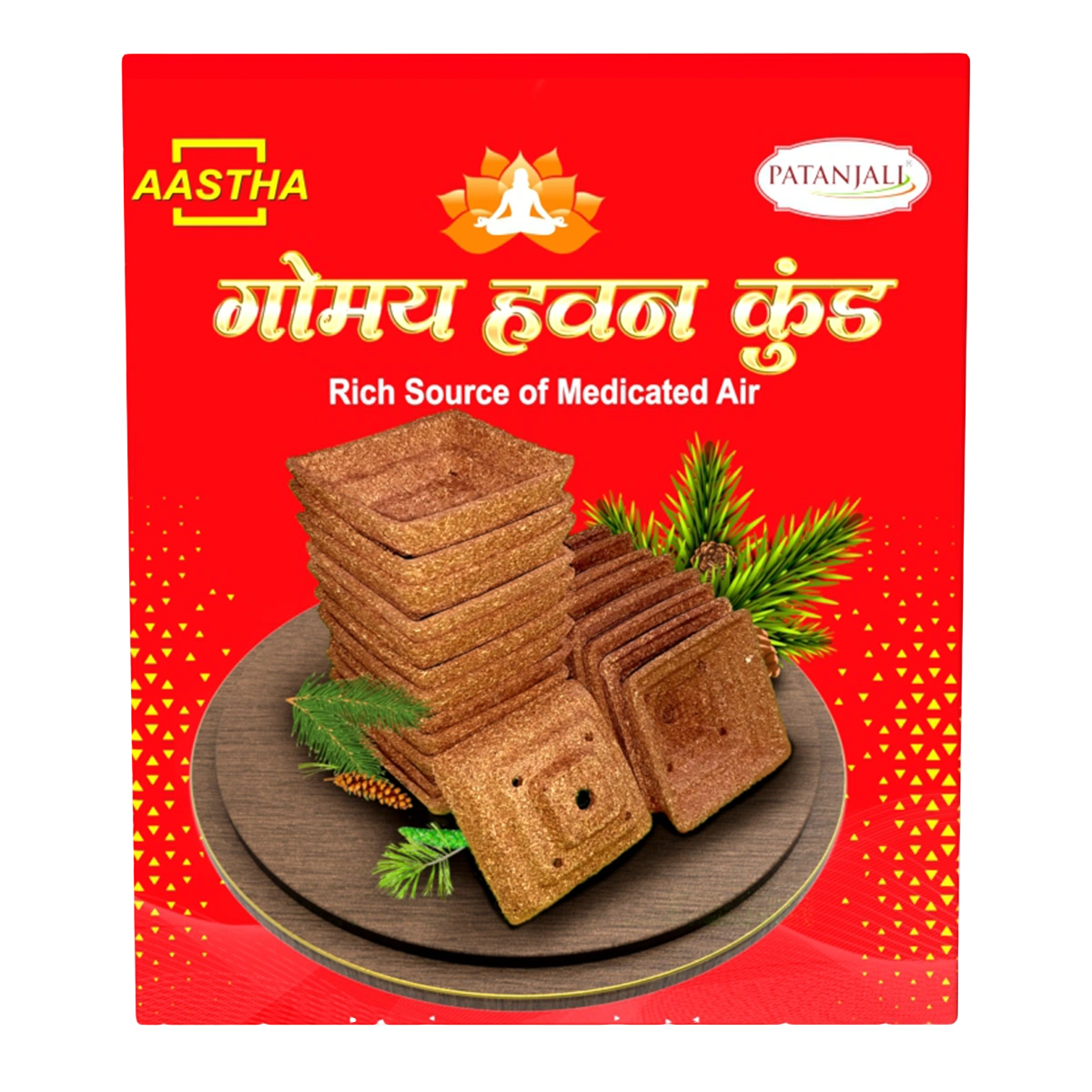 Patanjali Aastha Gomay Hawan Kund