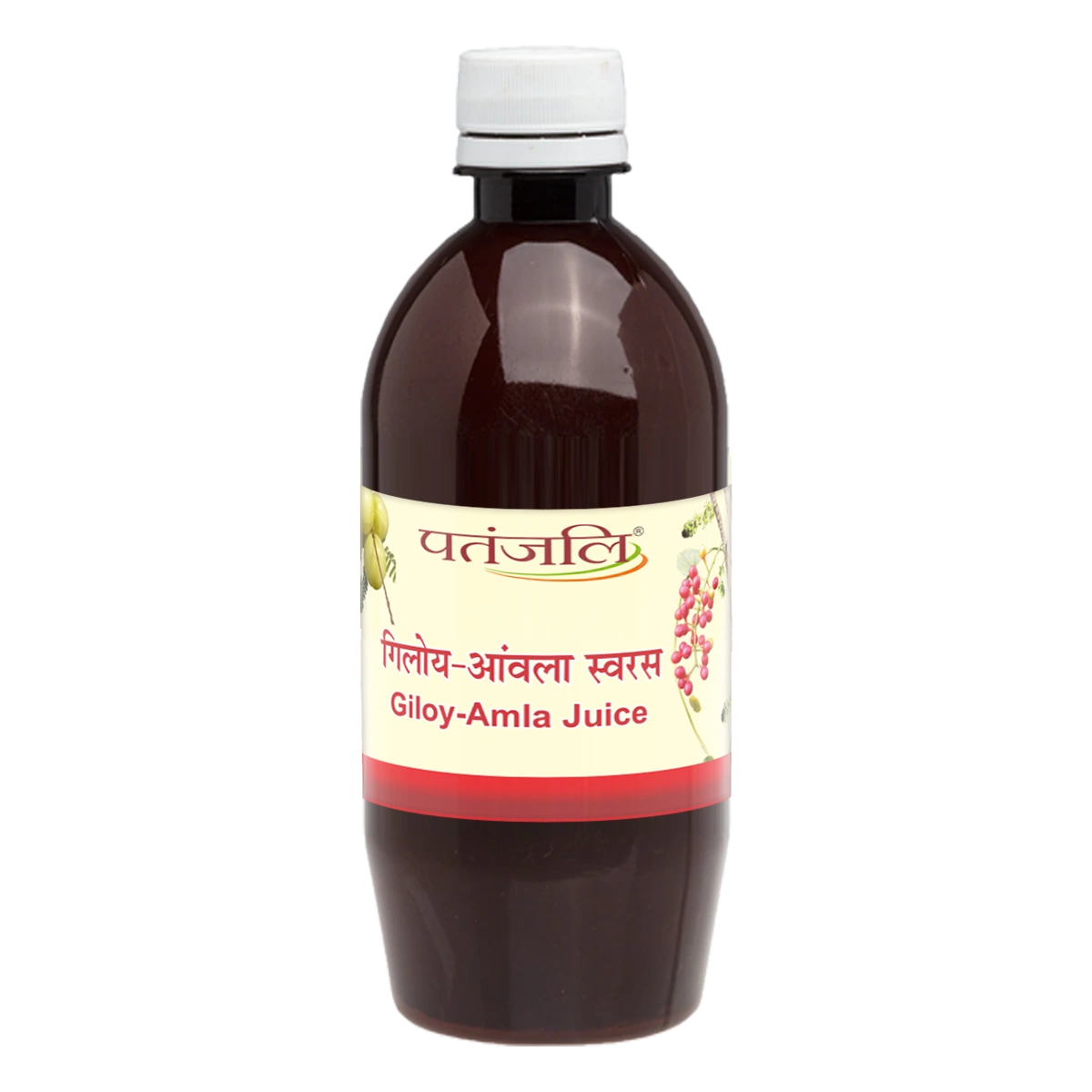 Patanjali Giloy Amla Juice