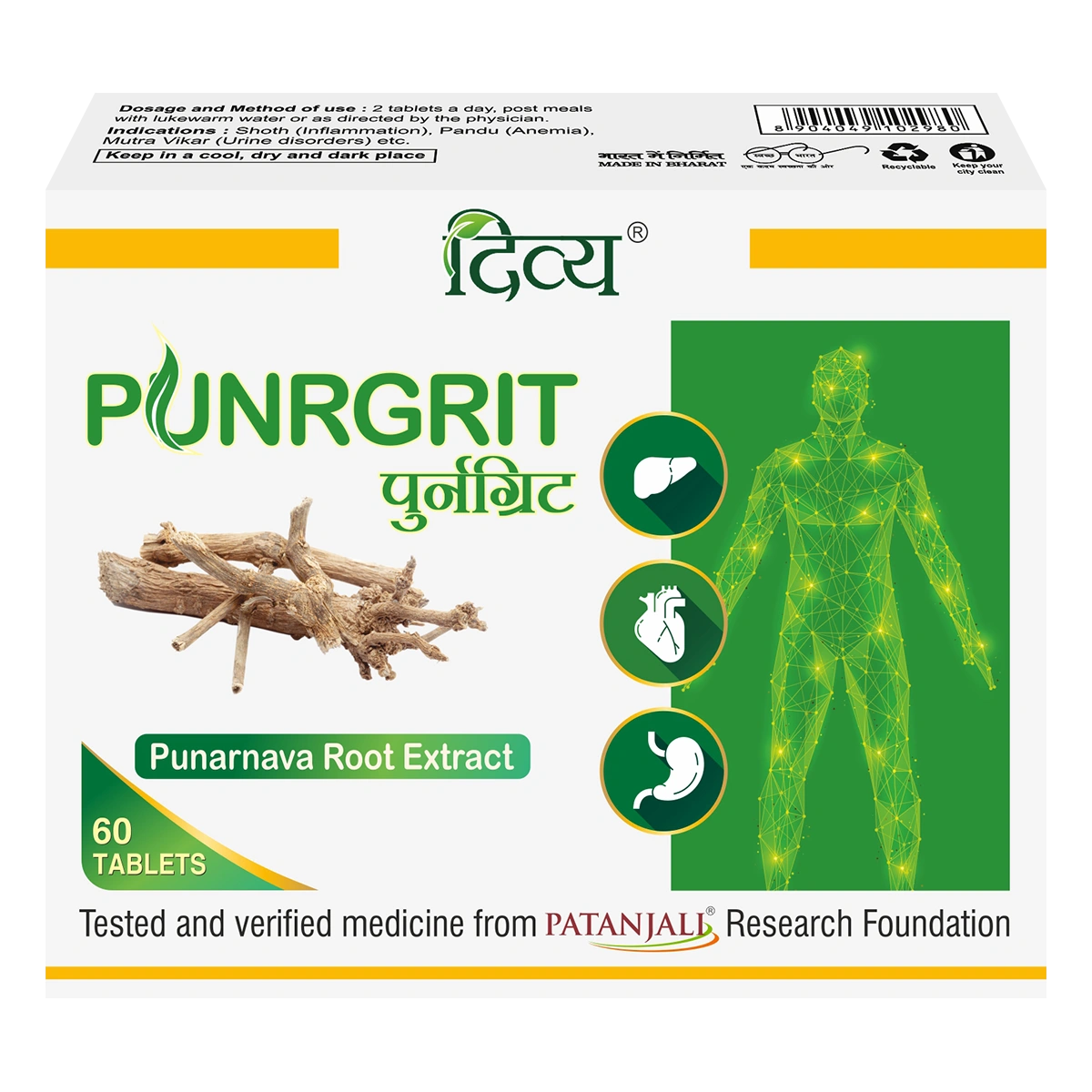 Patanjali Divya Punrgrit 3 U X 20 N
