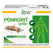 Patanjali Divya Punrgrit 3 U X 20 N
