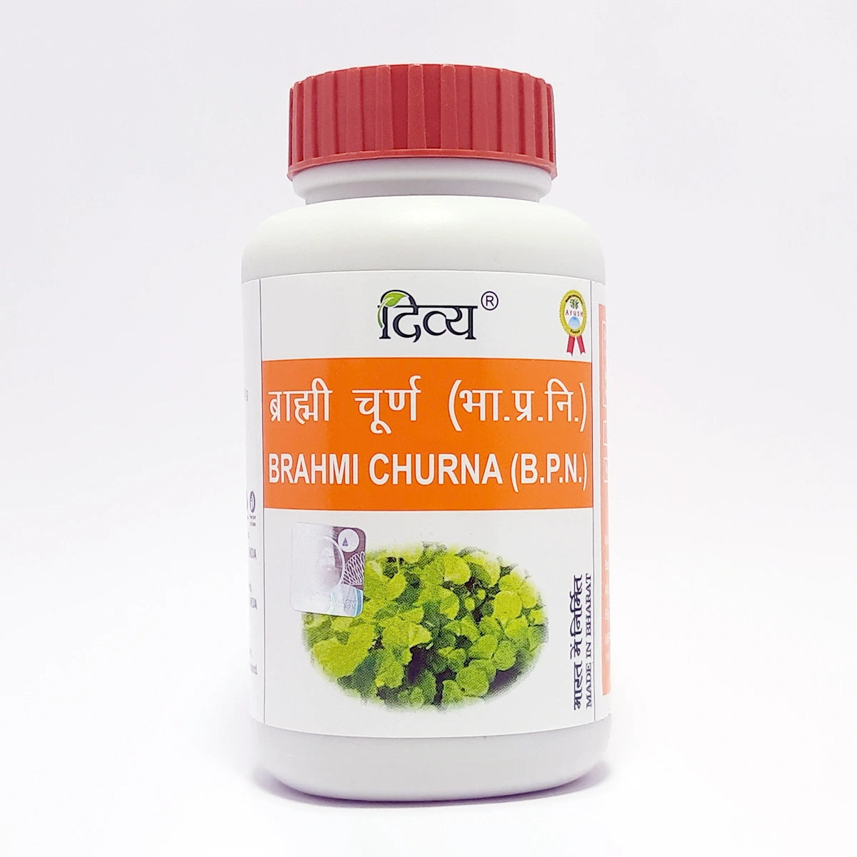 Patanjali Divya Brahmi Churna