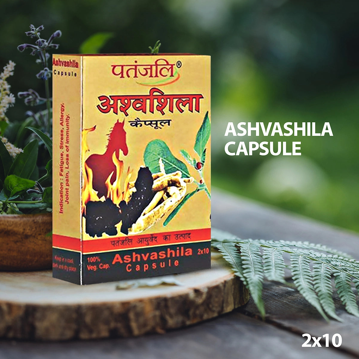 Patanjali Ashvashila