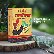 Patanjali Ashvashila