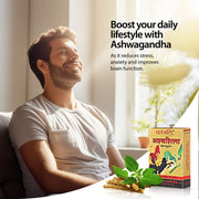 Patanjali Ashvashila