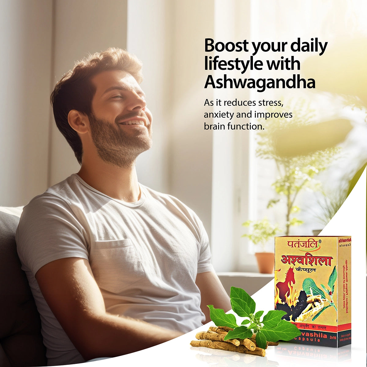 Patanjali Ashvashila