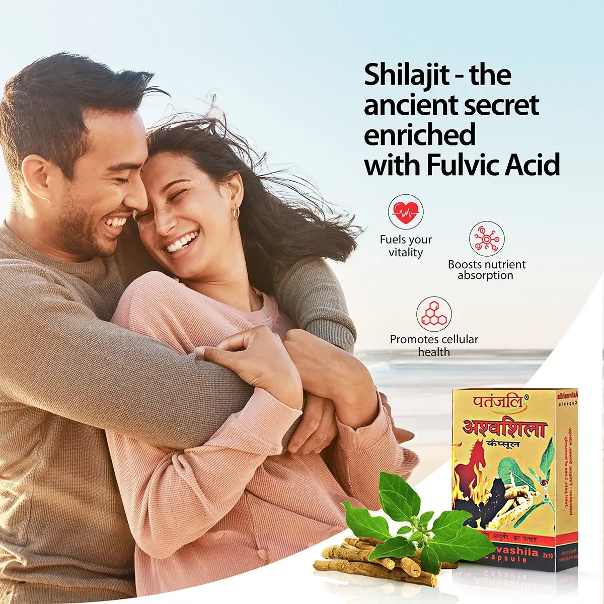 Patanjali Ashvashila