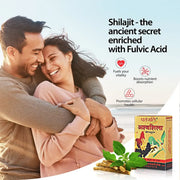 Patanjali Ashvashila
