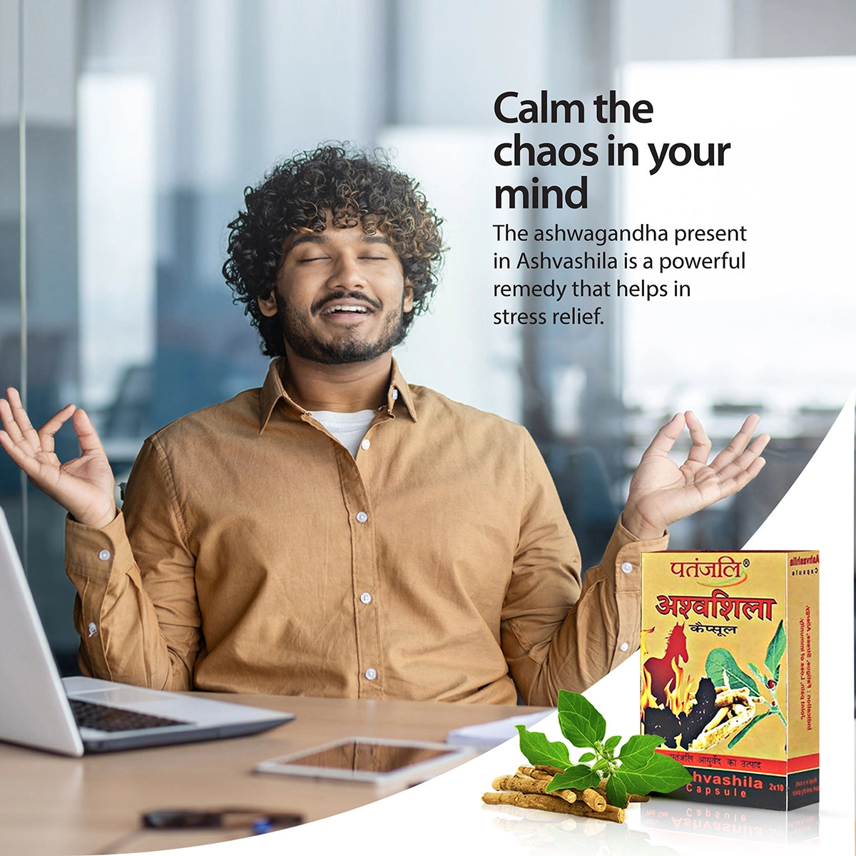 Patanjali Ashvashila