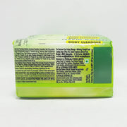 Patanjali Neem Kanti Body Cleanser