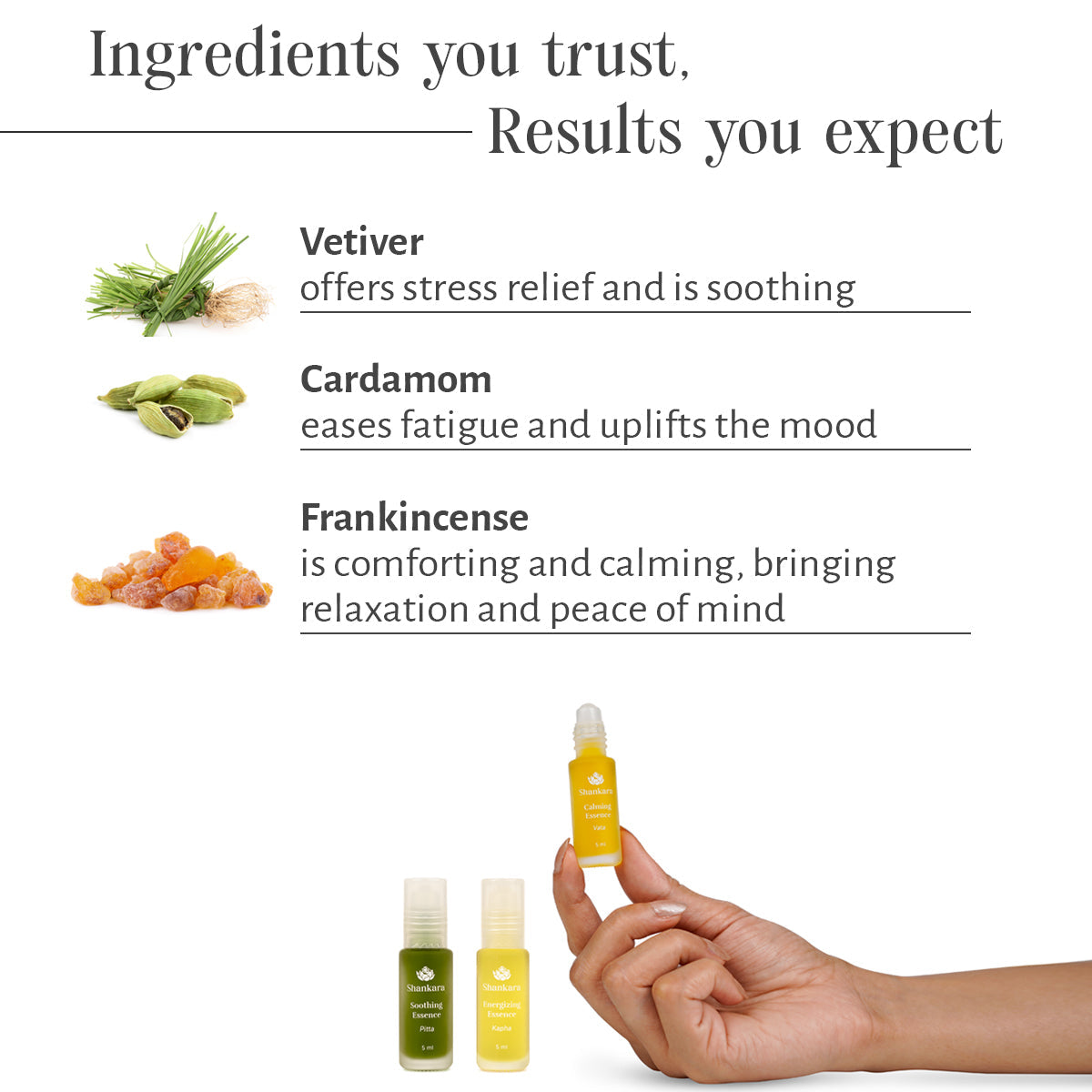 Sri Sri Tattva Aromatherapy Collection Roll-on set - 5ml each by Shankara
