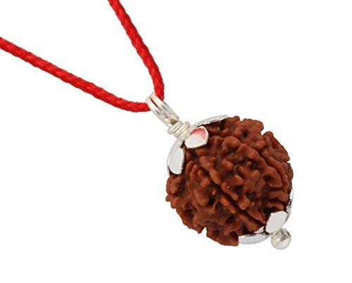 RUDRADIVINE 4 Mukhi Nepali Rudraksha Sterling Silver Certified Pendant for Men and Women
