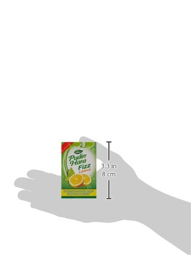Dabur Pudin Hara Lemon Fizz - 30 Gm