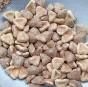 NatureVit Chestnuts (Singhara) 400g | Dried Whole Water Chestnuts | Rich in Fiber, Potassium & Antioxidants | Healthy Snack & Fasting Food