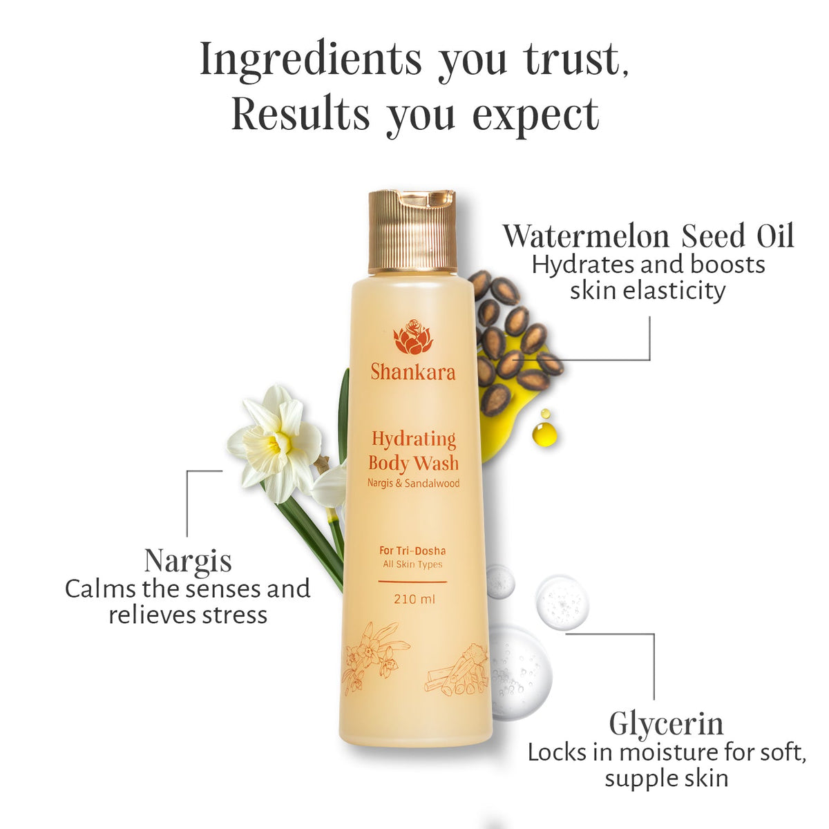 Sri Sri Tattva Shankara Hydrating Body Wash, 210 ml