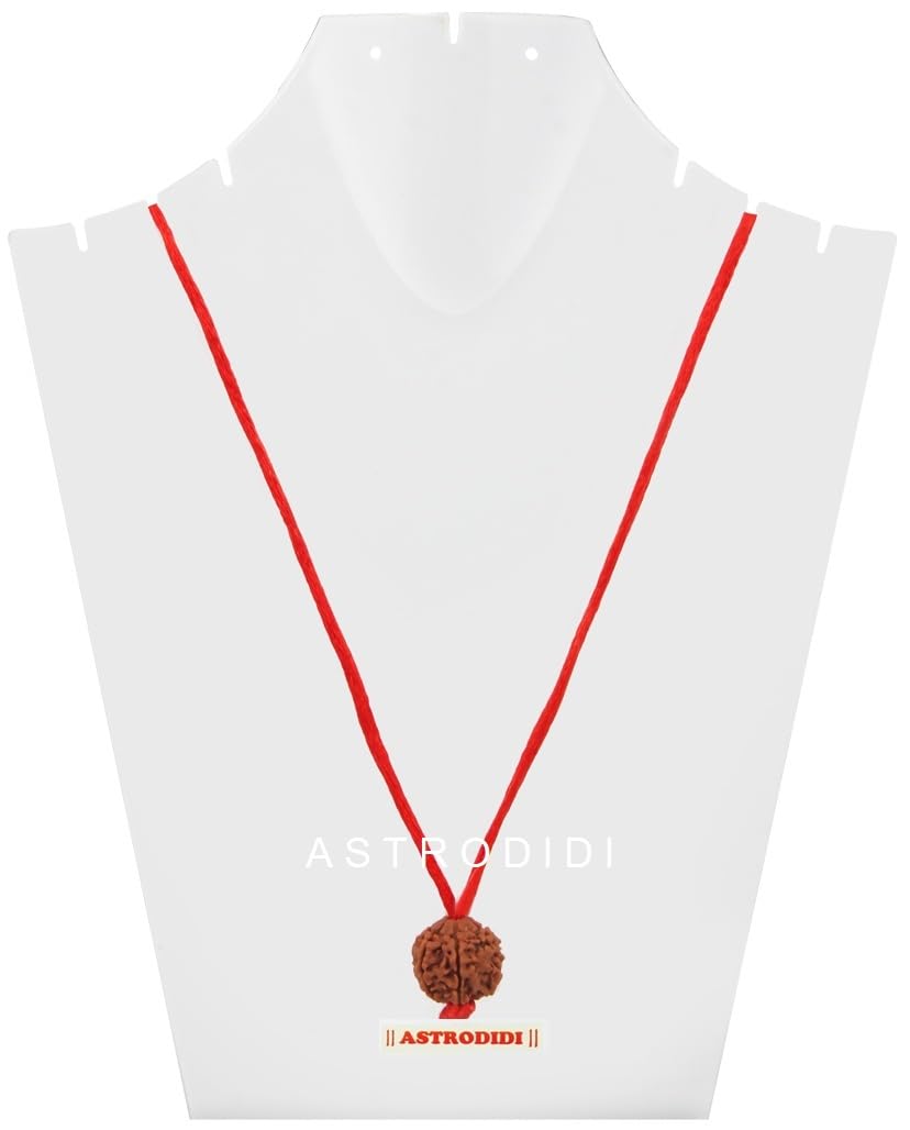 Astrodidi 6 Mukhi Rudraksha Nepali Bead with Red Thread for All time Wearing | Original Certified and Natural Six Face Nepali Rudraksh for Men Women Boys and Girls