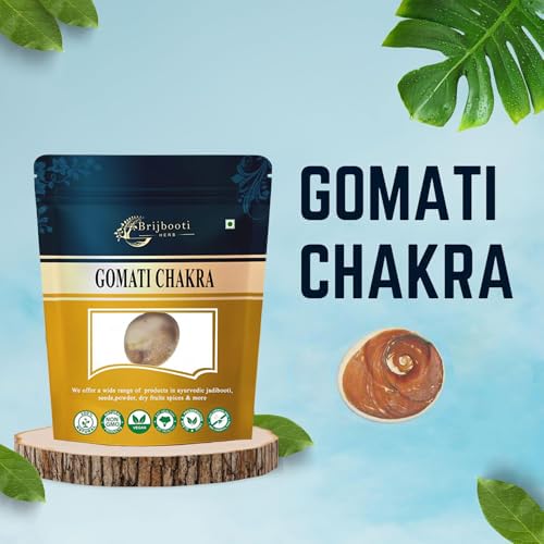 Brijbooti Gomati chakra original 1 Piece - Big Gomati Chakra - River Stones - from Gomathi River Dwarka