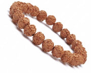 ASTRODIDI 5 Mukhi Rudraksha Bracelet | Panchmukhi Five Face Natural Rudraksha Stretchable Bracelet for Men Women Boys and Girls (Rudraks Size 8-9 mm and Color: Brown)