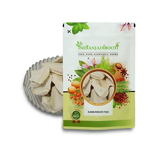 IndianJadiBooti Samundar Jhag (Cuttlefish Bone) | 3 Pack of 250g (Total 750g) | Natural Samudra Phen/Cuttlebone | Premium Calcium for Birds, Turtles & Traditional Skin Care (Desalinated & Sun-Dried)