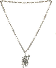 ASTRODIDI Unisex-Adult Hanuman Ji Pendant Locket With Chain In Pure Silver Color Aloy Bajrang Bali Locket