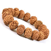 RUDRADIVINE 7 Mukhi Rudraksha Bracelet Certified Energized 7 Mukhi Rudraksha Bracelet Adjustable Unisex