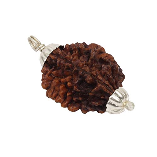 ASTRODIDI 2 Mukhi Ruraksha Two Face Pendant Mantra Siddha and Certified