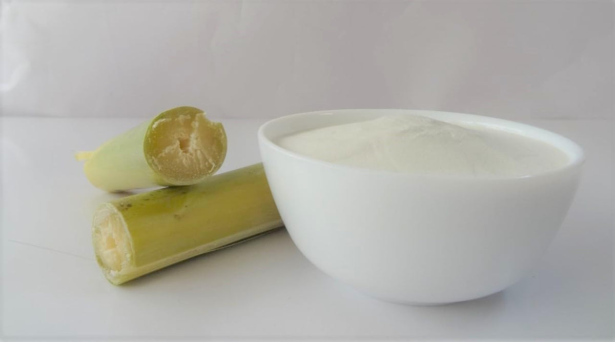 Holy Natural Sugarcane Juice Spray Dried Powder Taste Like Natural - 500 GM