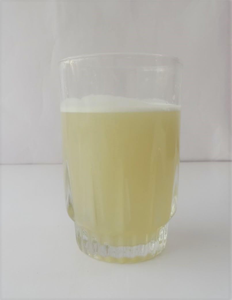 Holy Natural Sugarcane Juice Spray Dried Powder Taste Like Natural - 500 GM