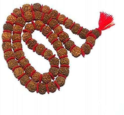ASTRODIDI 5 Mukhi Rudraksha Kantha Mala Natural Panch Mukha Five Face Beads Size 18mm-20mm (54+1 Beads)