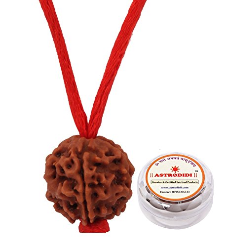 ASTRODIDI Original Certified 5 Mukhi Rudraksha Bead with Red Thread for Daily Wearing | Natural Nepali Five Face Rudraksh Bead | Unisex Design for Men Women Boys and Girls