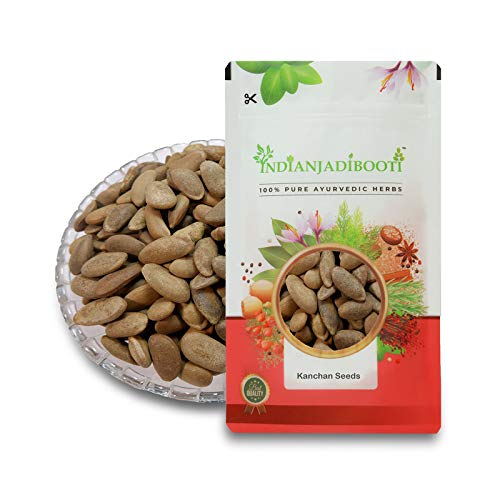 IndianJadiBooti Kanchan champak Michelia Champaca Seeds, 100 Grams Pack