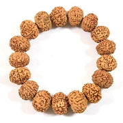 RUDRADIVINE 7 Mukhi Rudraksha Bracelet Certified Energized 7 Mukhi Rudraksha Bracelet Adjustable Unisex