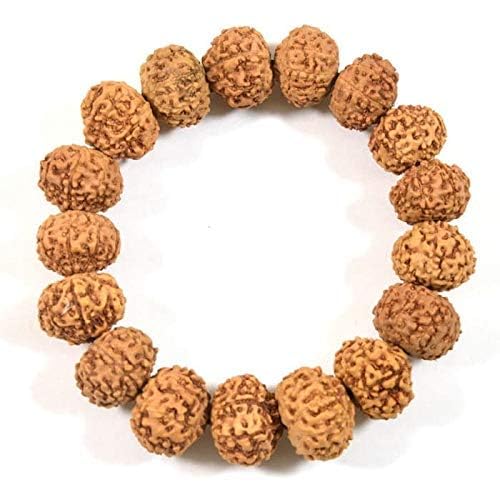 RUDRADIVINE 7 Mukhi Rudraksha Bracelet Certified Energized 7 Mukhi Rudraksha Bracelet Adjustable Unisex