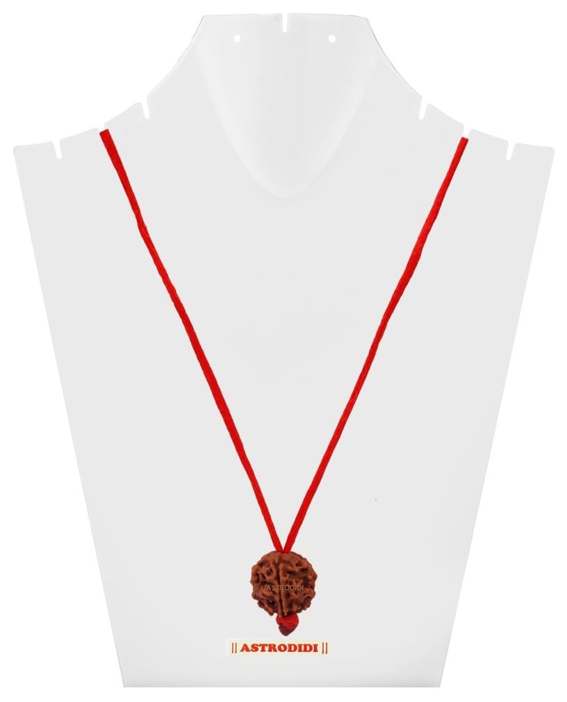 ASTRODIDI Original 5 Mukhi Rudraksha Bead with Red Thread for Daily Wearing | Natural Nepali Five Face Rudraksh Bead | Unisex Design for Men Women Boys and Girls