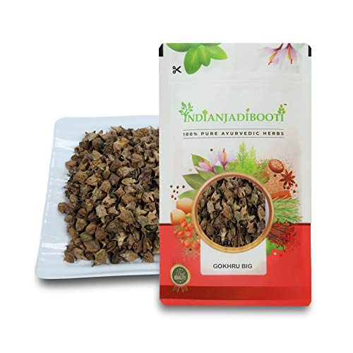IndianJadiBooti Gokhru Big (Bada Gokshura) - Pedalium Murex - Large Caltrop Fruit - Natural Cooling Herb for Kidney Cleanse & Urinary Wellness - 100g