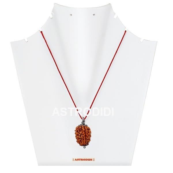 ASTRODIDI 3 Mukhi Rudraksha Original Certified Three Face Rudraksh Silver Plated Pendant for Astrological Benefits and Positive Energy | Unisex Design for Men & Women