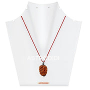 ASTRODIDI 3 Mukhi Rudraksha Pendant with Lab Certified | Original and Natural Three Face Rudraksha | Astrological Benefits | Unisex Design for Men & Women Boys and Girls