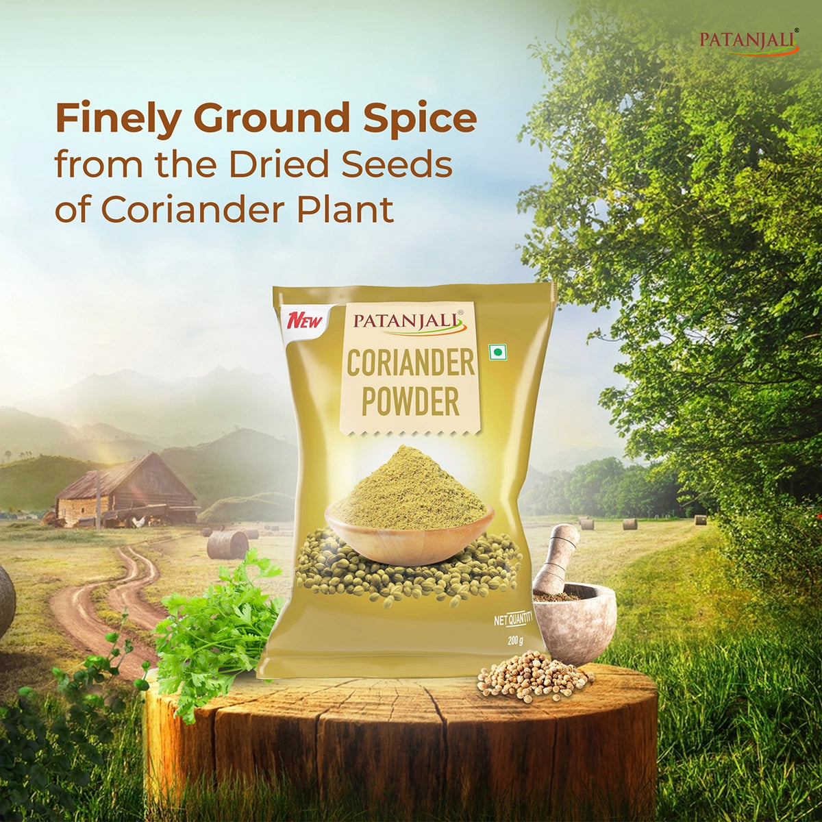 Patanjali Coriander Powder