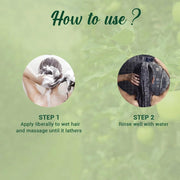 Biotique Green Apple Shine & Gloss Shampoo & Conditioner| Promotes Healthy, Shiny and Glossy Hair | Nourishes Scalp | Makes Hair Soft & Smooth |100% Botanical Extracts| All Skin Types | 650ml