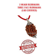 ASTRODIDI 3 Mukhi Rudraksha Original Certified Three Face Rudraksh Silver Plated Pendant for Astrological Benefits and Positive Energy | Unisex Design for Men & Women